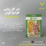 بذرگل گازانیا الوان عنبری بسته بندی خانگی
