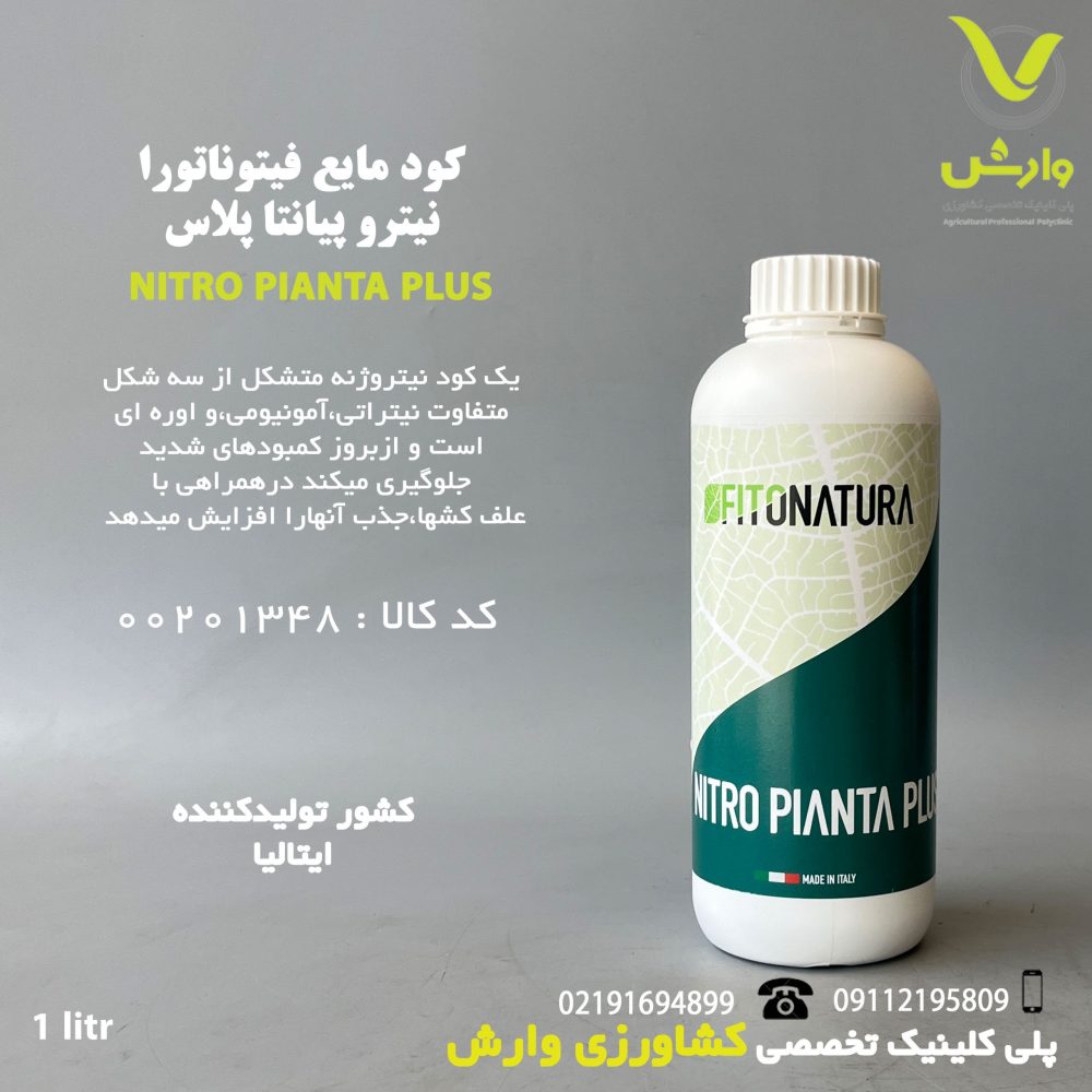نیترو پیانتا پلاس