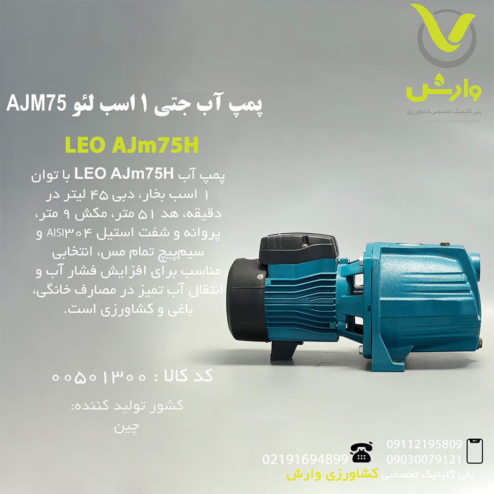 LEO AJm75H پمپ آب جتی 1 اسب لئو AJM75 - Image 1