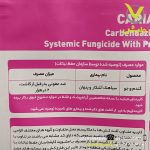 سم قارچ کش کاربندازیم (کاریازیم) آریا شیمی نیم کیلویی - Image 2