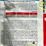 سم حشره کش استینگر (استارکل) رها اندیش کاوان 500 گرمی - Image 2