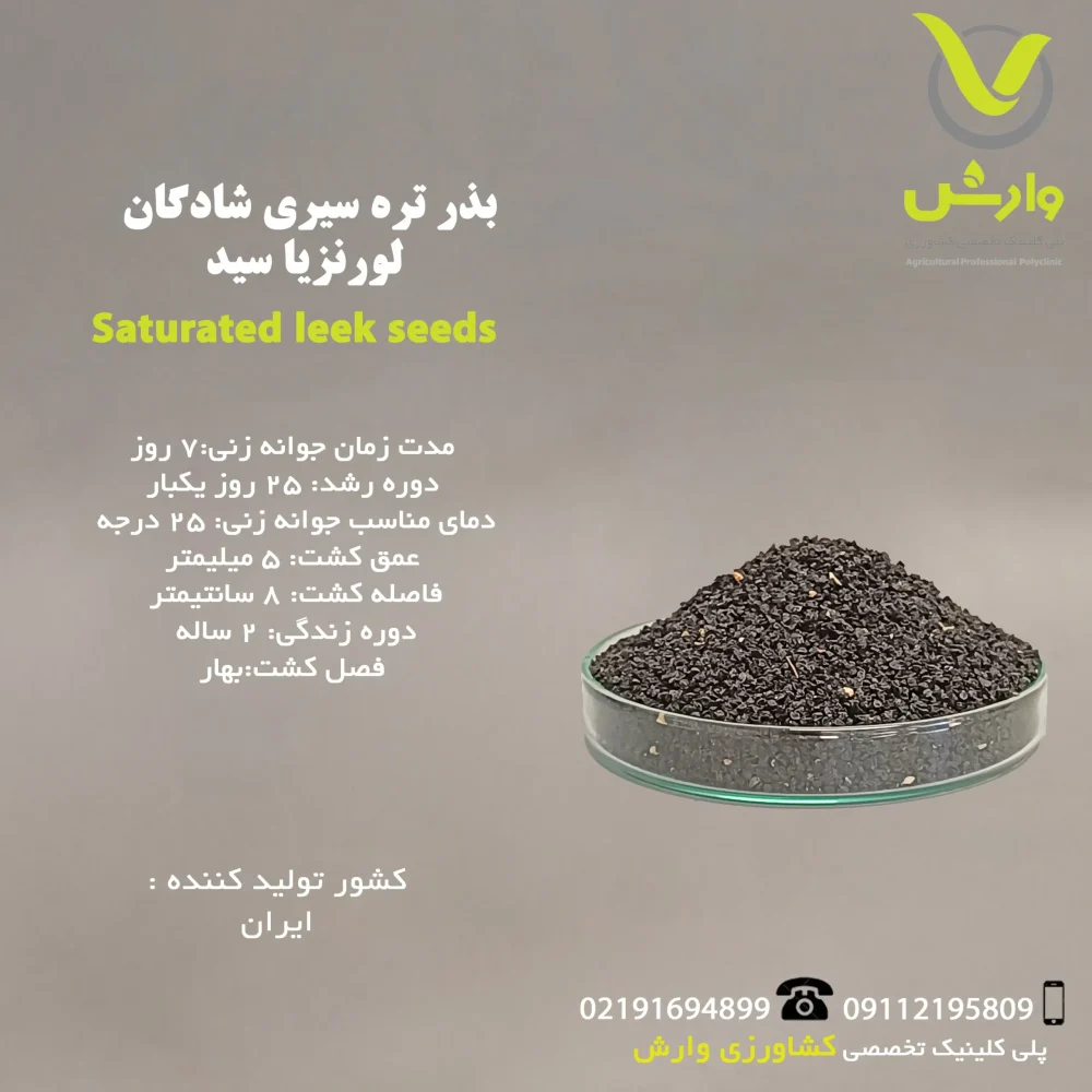 بذر تره سیری شادگان لورنزیا سید رقم لورنزیا سید - Image 1