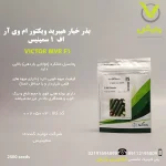 بذر خیار هیبرید ویکتور ام وی آر اف 1 سمینیس پاکت 2500 عددی