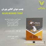 چسب موش کتابی یورش آفند شیمی