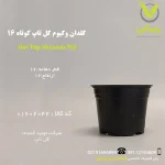 گلدان وکیوم گل تاپ کوتاه سایز 16مشکی، با قطر دهانه 16 سانتی‌متر و ارتفاع 12 سانتی‌متر، از جنس پلاستیک مقاوم دولایه، مناسب برای گیاهان آپارتمانی مانند شلفرا، سیکاس متوسط و برگ انجیری، با طراحی زیبا و قیمت مقرون‌به‌صرفه، عرضه‌شده توسط پلی‌کلینیک تخصصی کشاورزی وارش