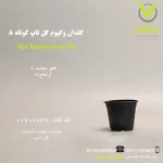 گلدان وکیوم گل تاپ سایز ۸ مشکی ، با قطر دهانه ۸ سانتی‌متر و ارتفاع ۱۲ سانتی‌متر، از جنس پلاستیک مقاوم دولایه، مناسب برای کاشت بذر، قلمه و گیاهان آپارتمانی کوچک مانند کاکتوس‌های مینیاتوری و ساکولنت، با زهکشی مناسب و طراحی کاربردی، عرضه‌شده توسط پلی‌کلینیک تخصصی کشاورزی وارش