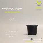 گلدان وکیوم گل تاپ کوتاه سایز 10مشکی، با قطر دهانه 10 سانتی‌متر و ارتفاع 8 سانتی‌متر، از جنس پلاستیک مقاوم دولایه، مناسب برای کاشت بذر، قلمه و گیاهان آپارتمانی کوچک مانند کاکتوس و ساکولنت، با زهکشی مناسب و طراحی ساده، عرضه‌شده توسط پلی‌کلینیک تخصصی کشاورزی وارش