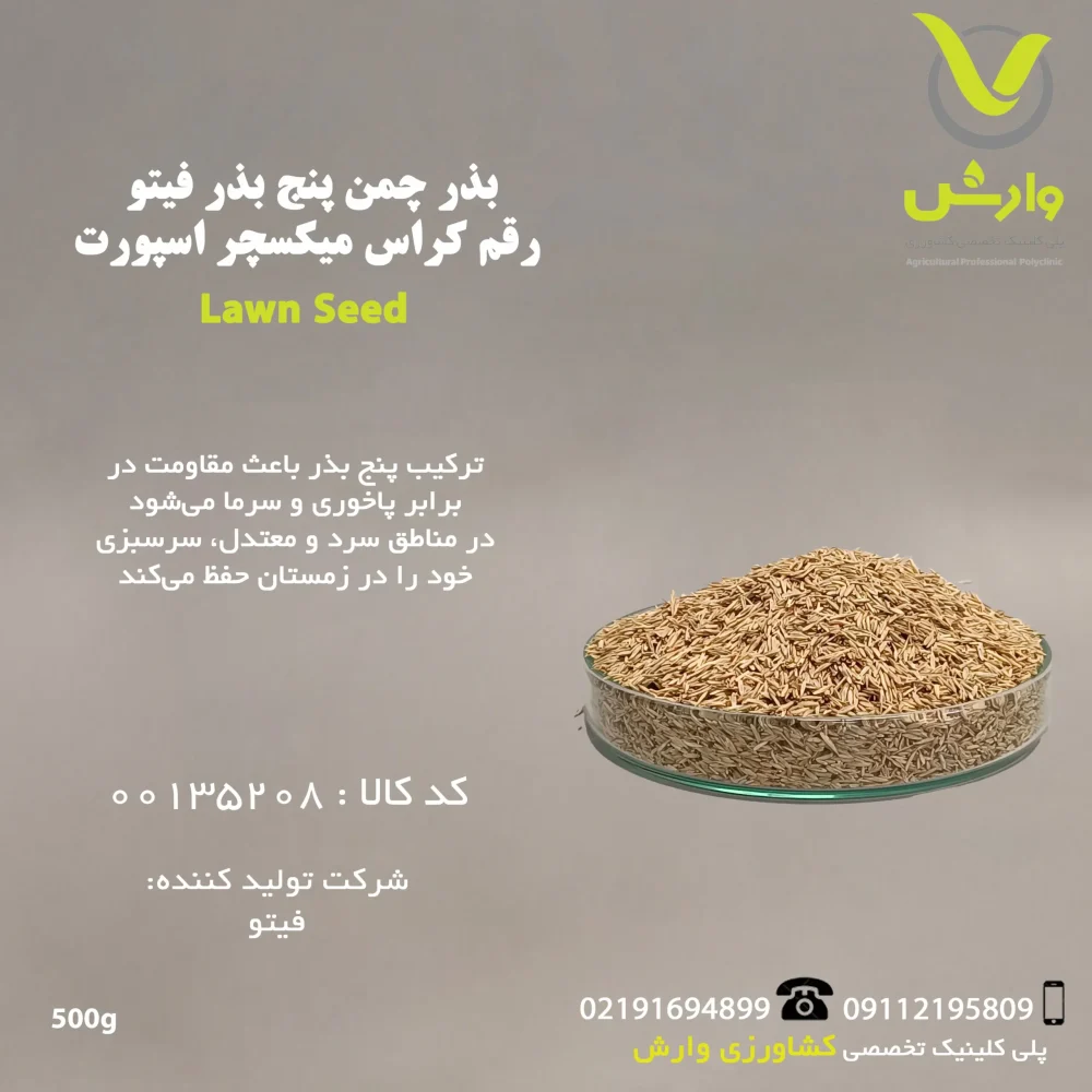 "بسته نیم کیلویی بذر چمن پنج بذر فیتو رقم گراس میکسچر اسپورت، ترکیبی از لولیوم، پوا و فستوکا، با پاخوری قوی و مقاومت بالا در برابر سرما، مناسب برای زمین‌های ورزشی، پارک‌ها و فضاهای سبز در مناطق سرد و معتدل، عرضه‌شده توسط پلی‌کلینیک تخصصی کشاورزی وارش"