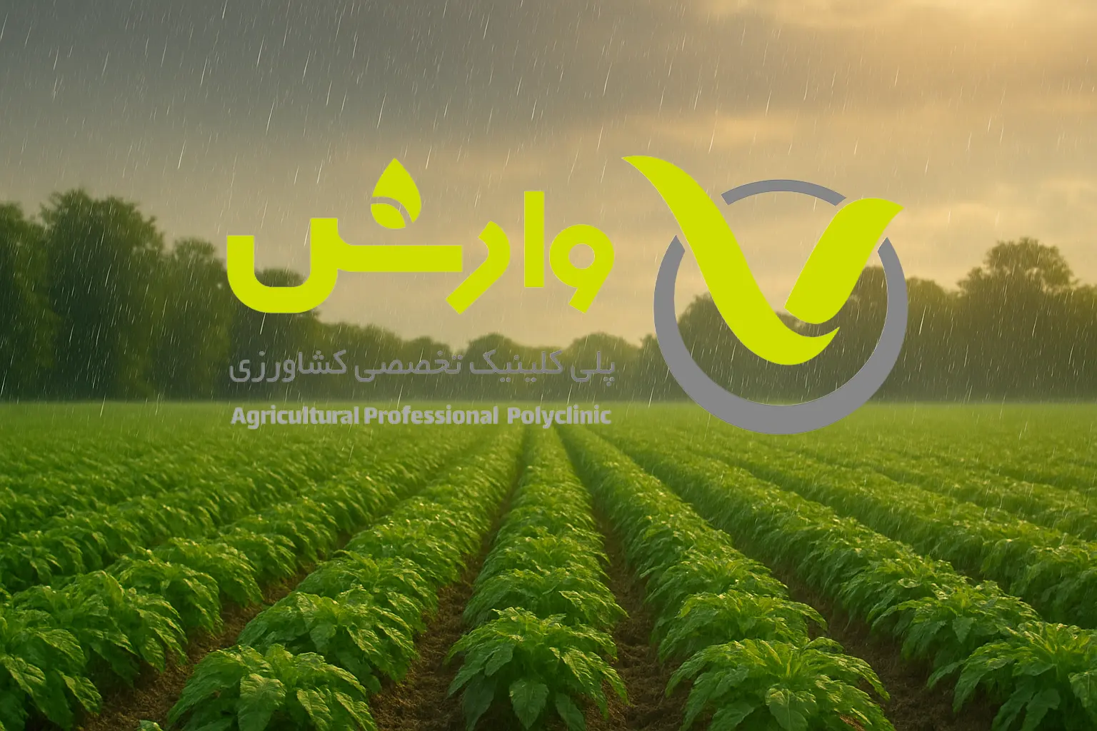 وارش، باران زندگی مزرعهها 1 varesh