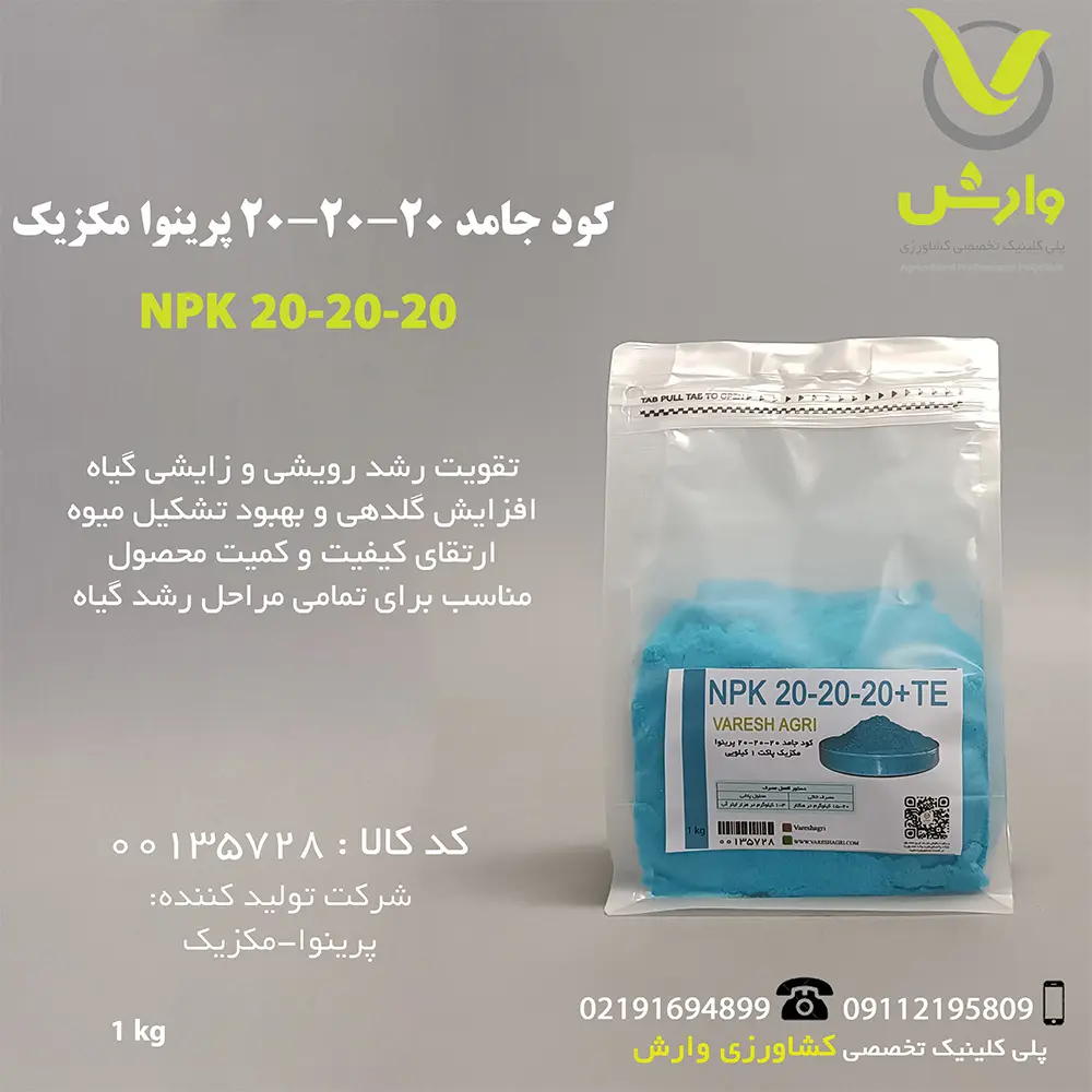 20-20-20 پرینوای مکزیک