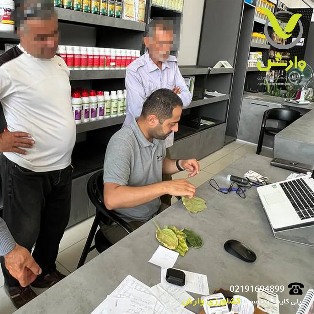 مشاوره تخصصی وارش اگری