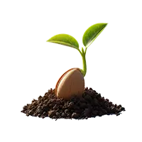 عکس آیکن بذر فروشگاه بذر وارش