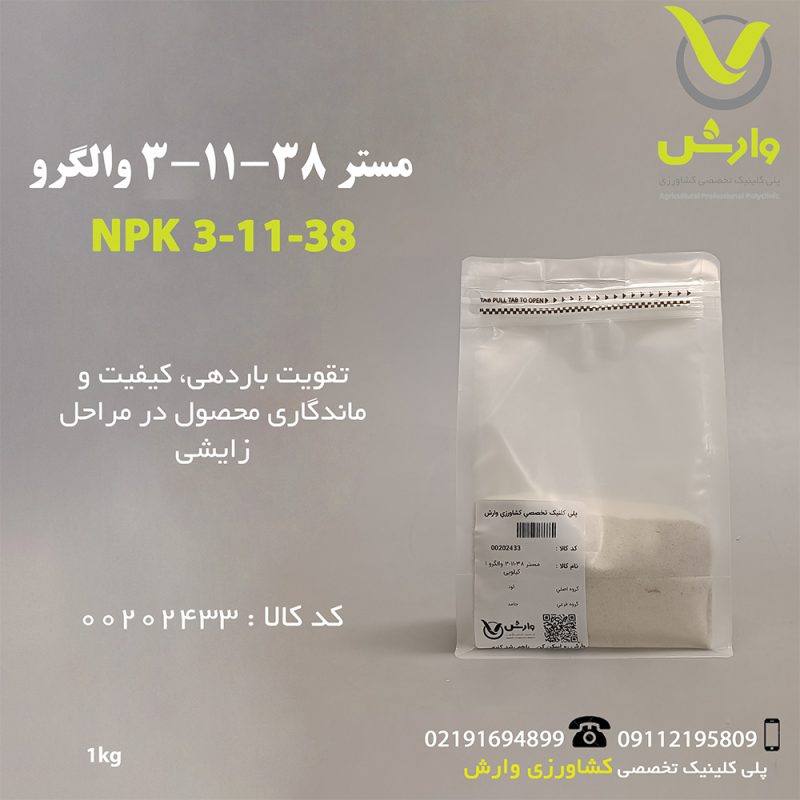 مستر 38-11-3 والگرو 1 کیلویی