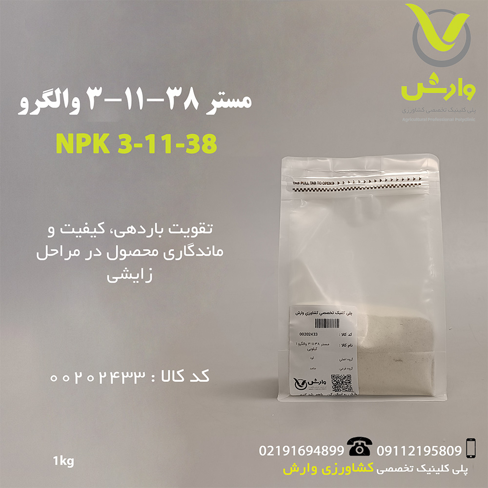 مستر 38-11-3 والگرو 1 کیلویی