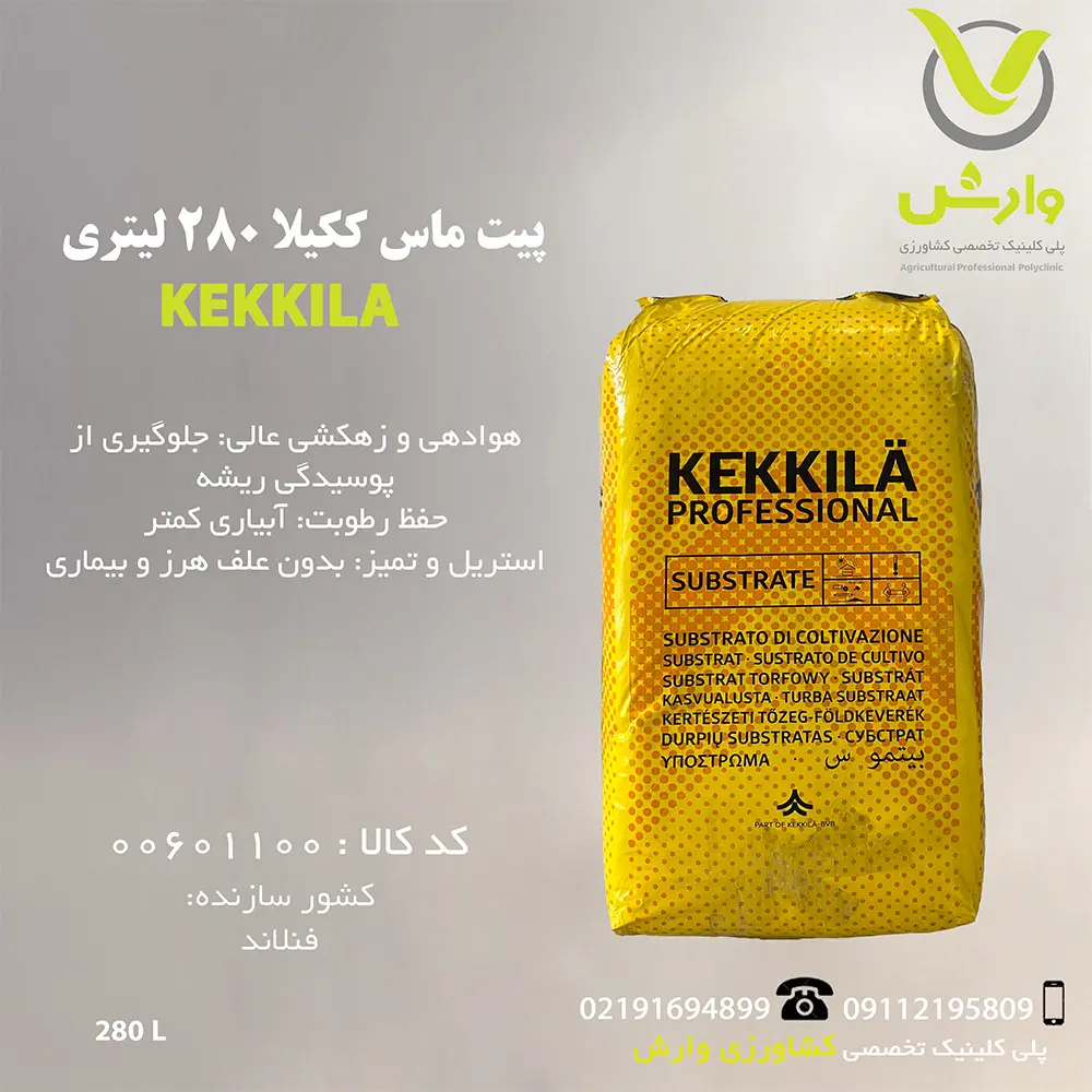 پیت ماس ککیلا