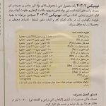 کود مایع مرغی 4-3-2 نوومیکس گالن 20 لیتری - Image 2