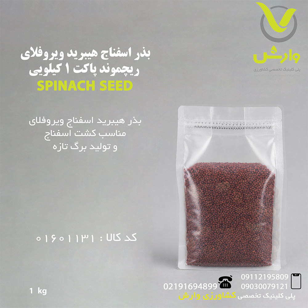 بذر اسفناج هیبرید ویروفلای ریچموند پاکت 1 کیلویی