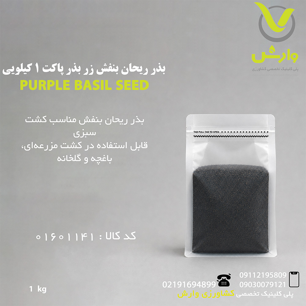 بذر ریحان بنفش زر بذر پاکت 1 کیلویی