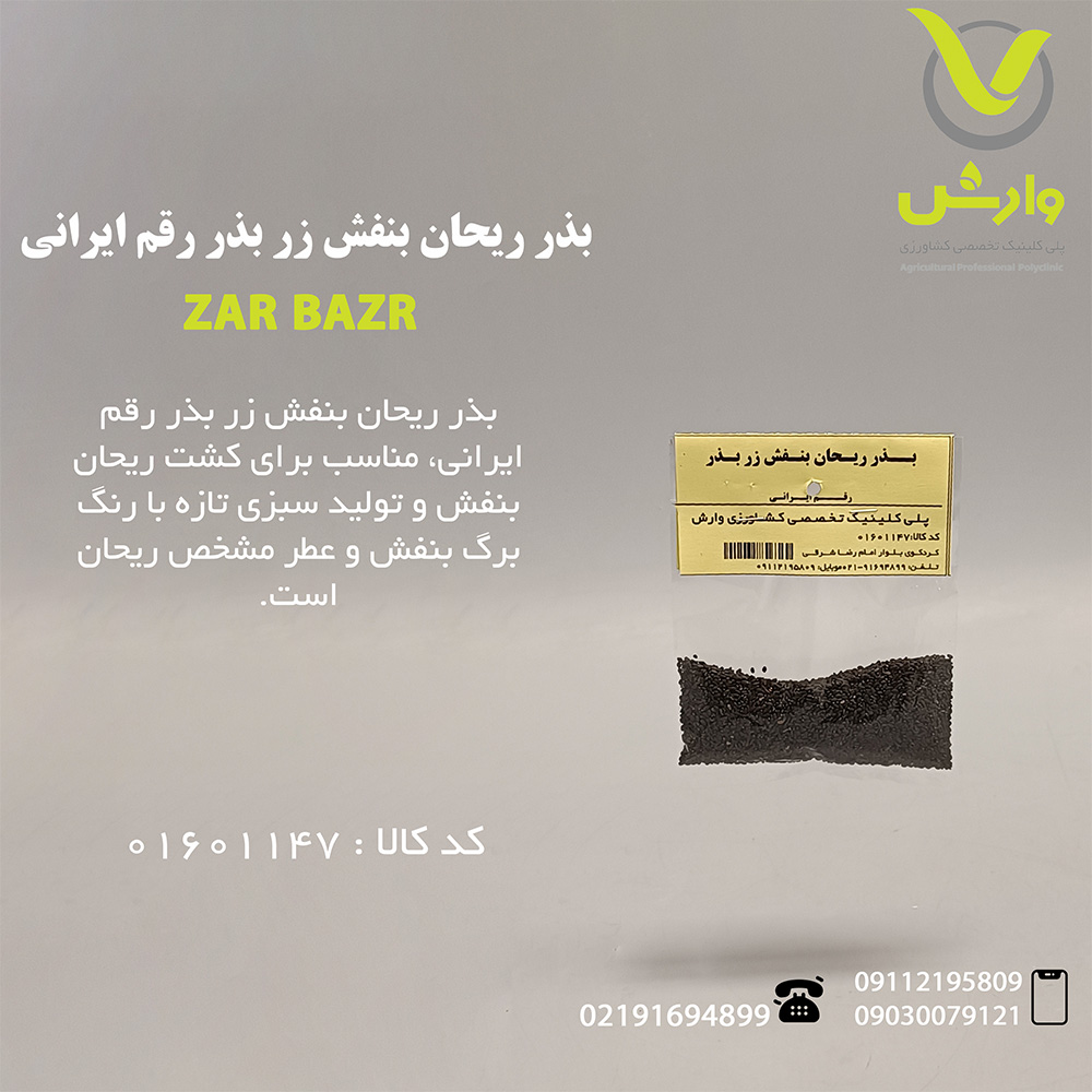 بذر ریحان بنفش زر بذر رقم ایرانی