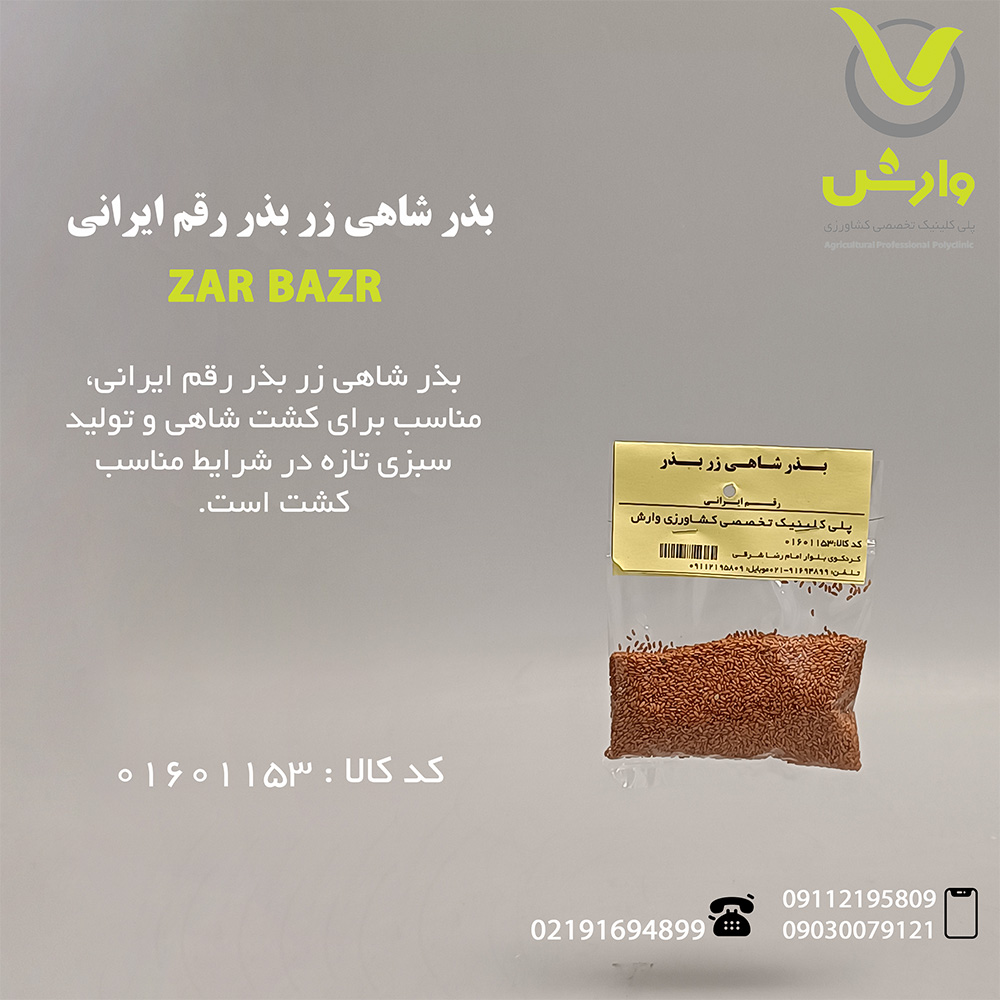 بذر شاهی زر بذر رقم ایرانی