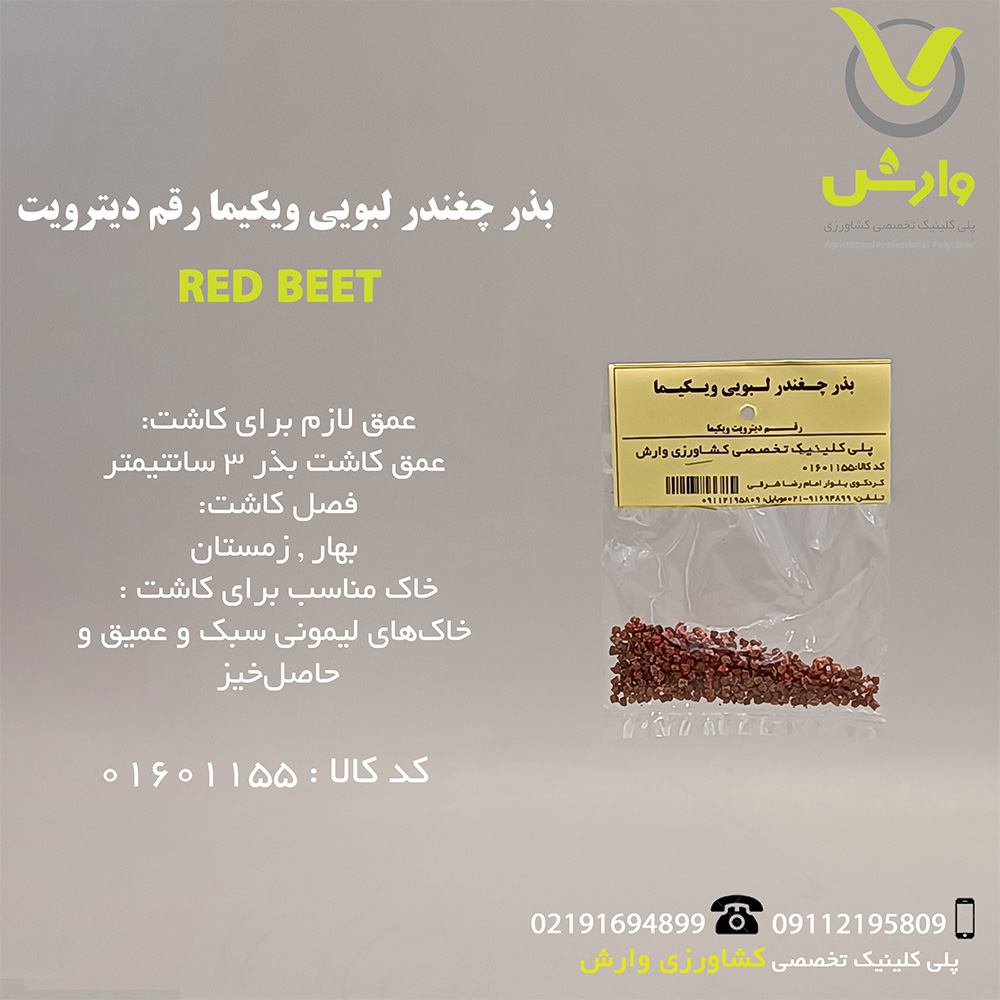 بذر چغندر لبویی ویکیما رقم دیترویت