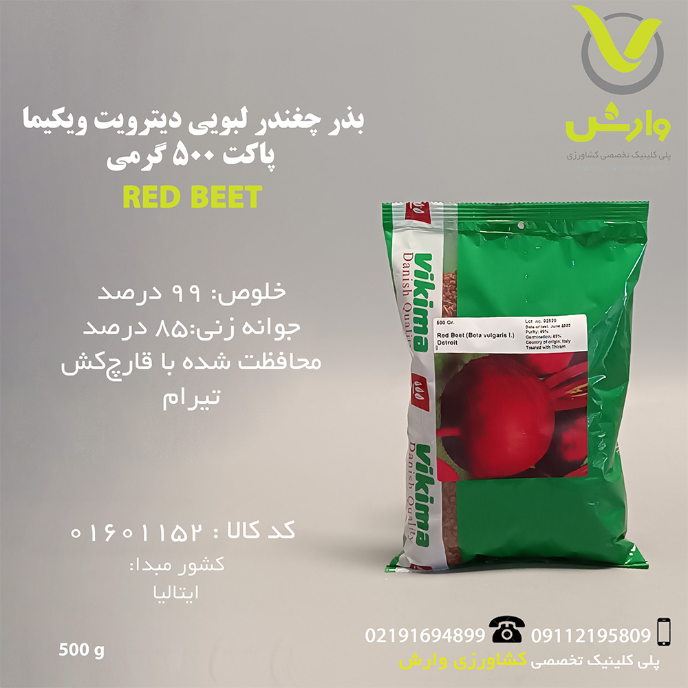 بذر چغندر لبویی دیترویت ویکیما پاکت 500 گرمی