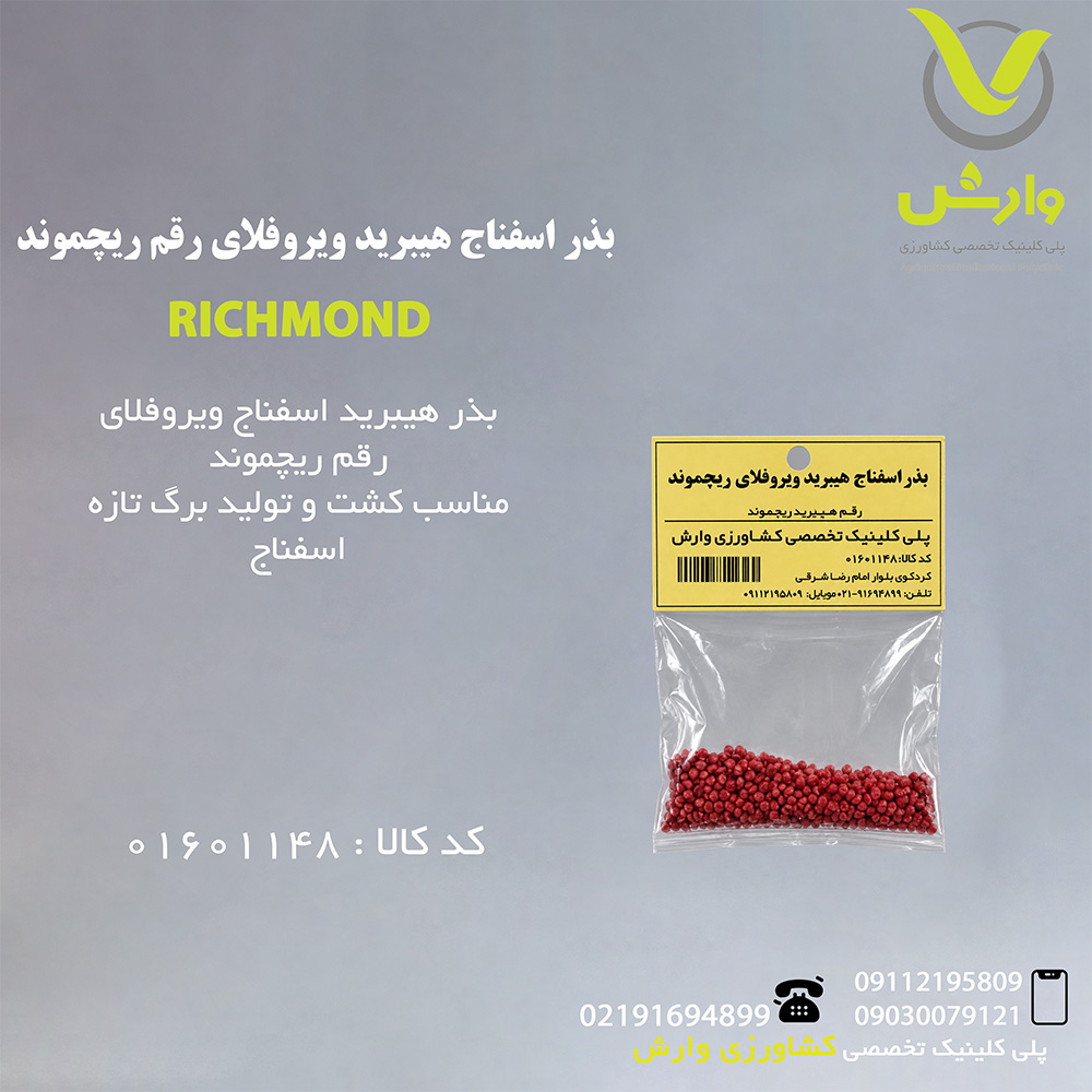 بذر اسفناج هیبرید ویروفلای رقم ریچموند