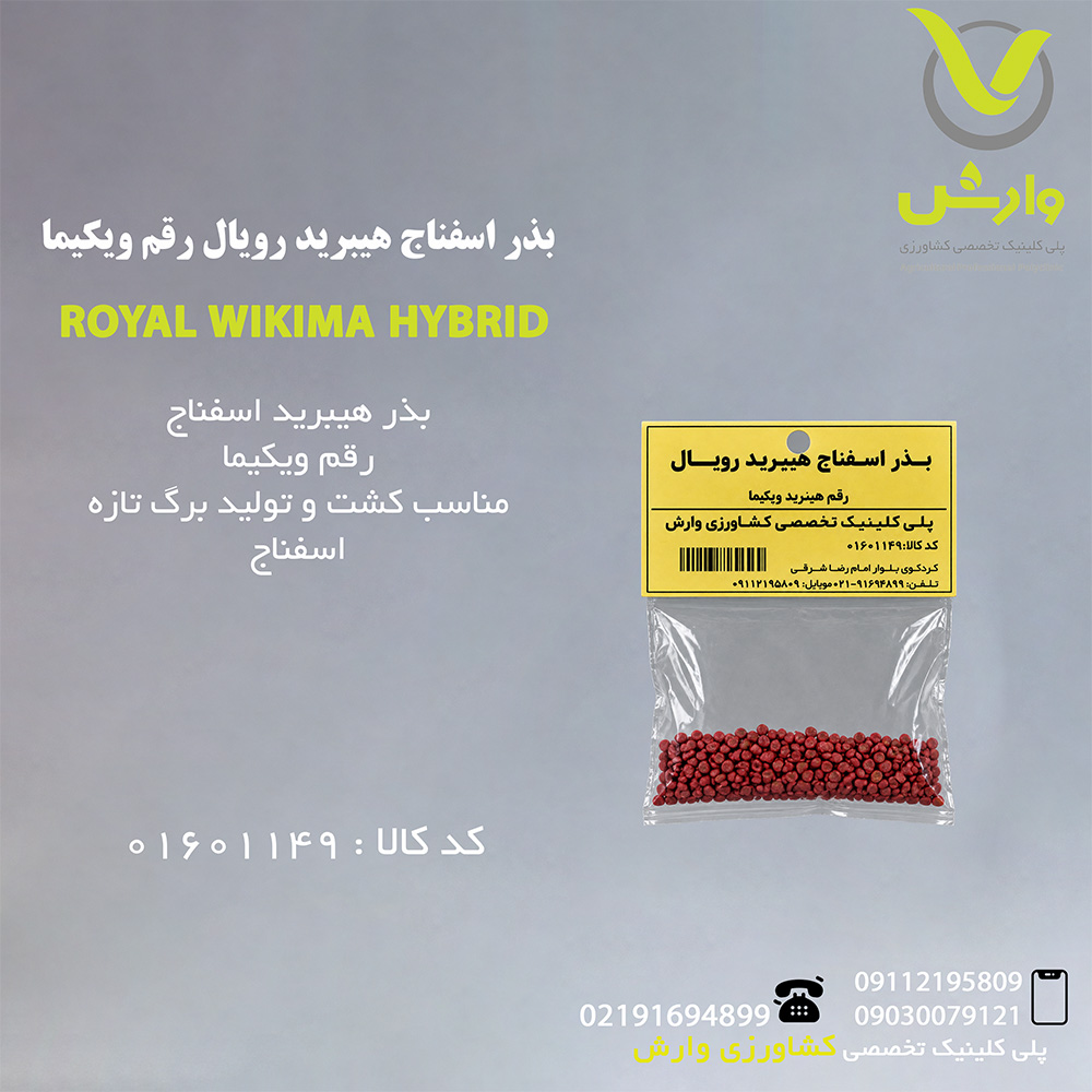 بذر اسفناج هیبرید رویال رقم ویکیما
