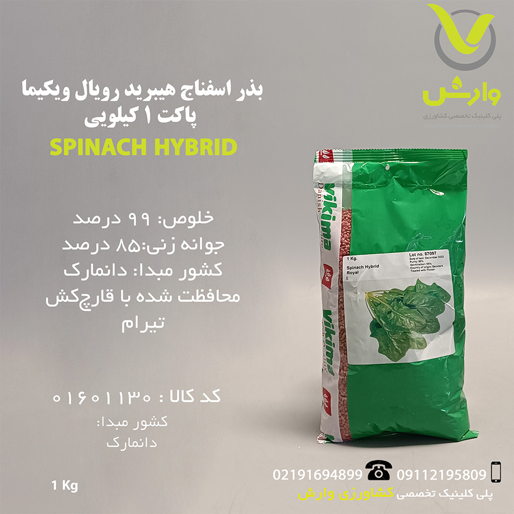 بذر اسفناج هیبرید رویال ویکیما پاکت 1 کیلویی