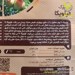 کود جامد فولویک پلاس گرونبرگ 1 کیلویی - Image 2