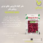 بذر گیاه دارویی چای ترش رویش بذر