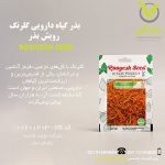 بذر گیاه دارویی گلرنگ رویش بذر