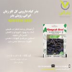 بذر گیاه دارویی گل گاو زبان ایرانی رویش بذر