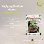 بذر گیاه دارویی رازیانه رویش بذر