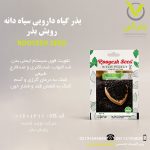 بذر گیاه دارویی سیاه دانه رویش بذر