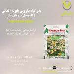 بذر گیاه دارویی بابونه آلمانی (کامومیل) رویش بذر