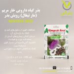 بذر گیاه دارویی خار مریم (مار تیغال) رویش بذر