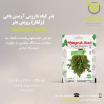 بذر گیاه دارویی آویشن باغی (ولگار) رویش بذر