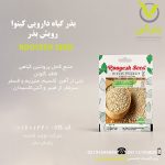 بذر گیاه دارویی کینوا رویش بذر