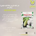 بذر گیاه دارویی لوفا (لیف طبیعی) رویش بذر