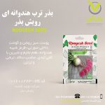 بذر ترب هندوانه ای رویش بذر