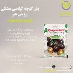 بذر گوجه گیلاسی مشکی رویش بذر