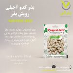 بذر کدو آجیلی رویش بذر