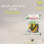 بذر کدو خورشتی رنگی میکس رویش بذر
