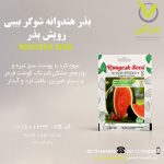 بذر هندوانه شوگر بیبی رویش بذر