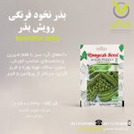 بذر نخود فرنگی رویش بذر
