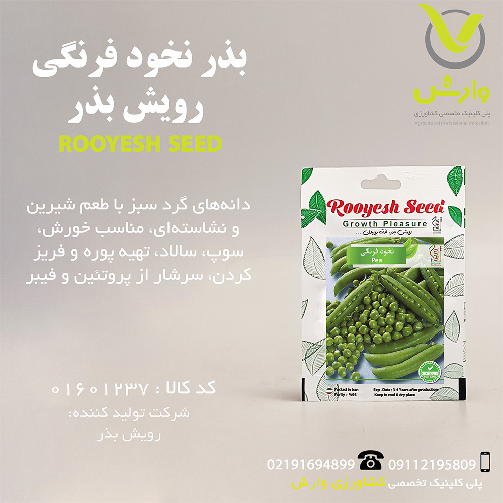 بذر نخود فرنگی رویش بذر