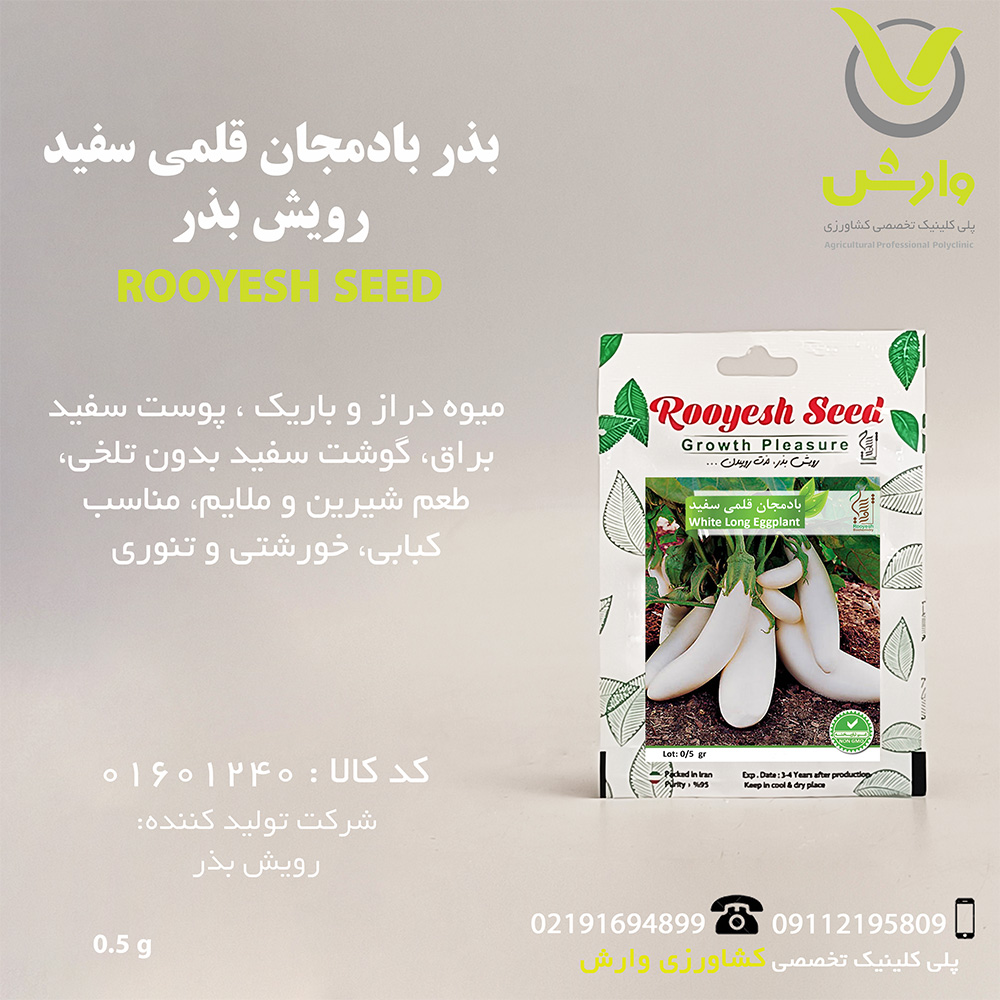 بذر بادمجان قلمی سفید رویش بذر