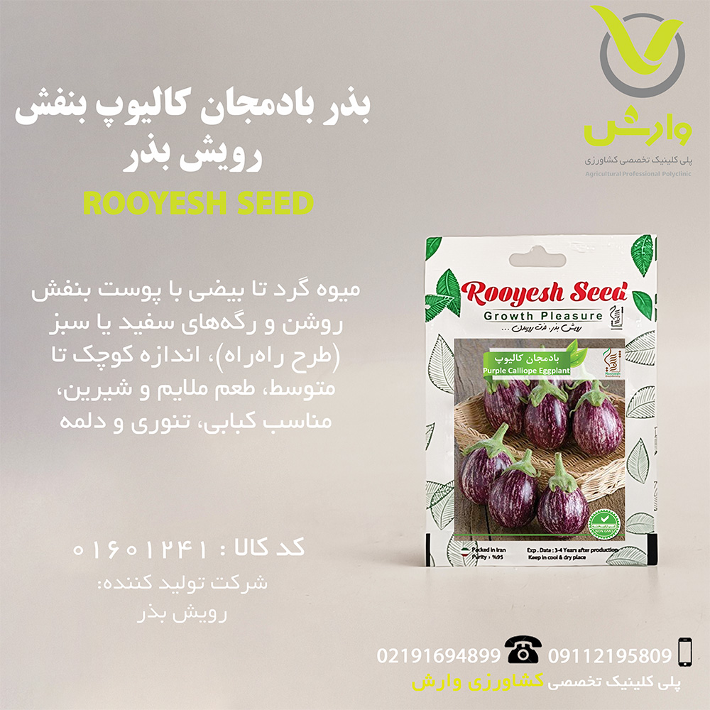 بذر بادمجان کالیوپ بنفش رویش بذر