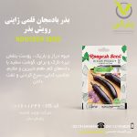 بذر بادمجان قلمی ژاپنی رویش بذر
